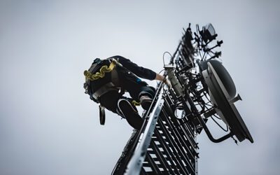 Teste de Percussão em Pinhais – PR