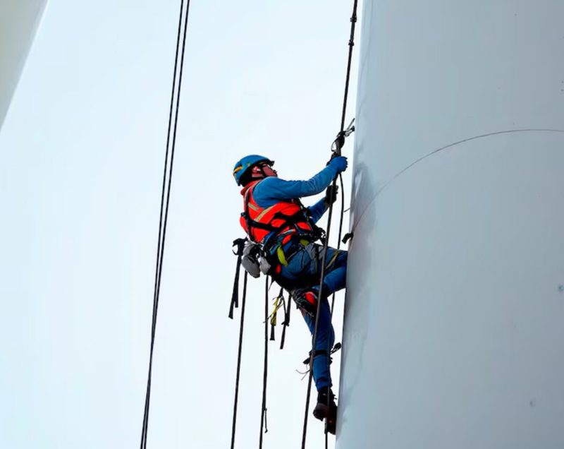 Teste de Percussão em São José dos Pinhais – PR